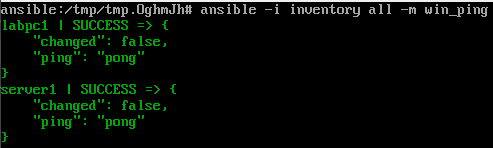 Ansible win_ping response from inventory targets